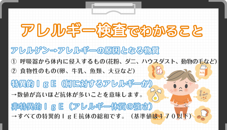 アレルギー検査でわかること