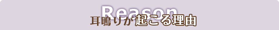耳鳴りが起こる理由