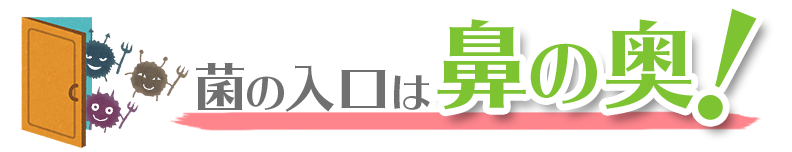 菌の入口は鼻の奥！